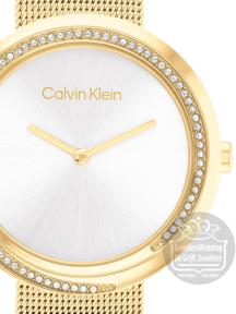 Calvin Klein CK25200150 Horloge Dames Goud