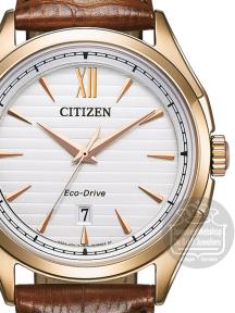 citizen eco drive horloge AW1753-10A