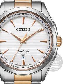 citizen eco drive horloge AW1756-89A