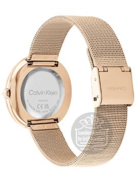 Calvin Klein CK25200013 Horloge Dames Rose