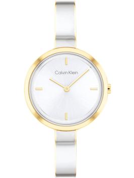 Calvin Klein CK25200189 Horloge Dames Bicolor