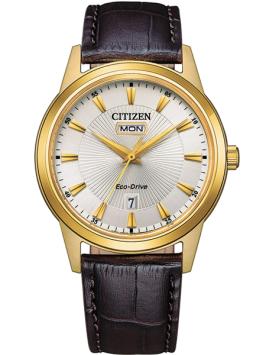 citizen eco drive horloge AW0102-13AE